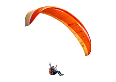 vector-image-one
